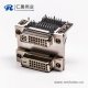DVI 24 1与24 5针双胞胎白胶弯式鱼叉脚母头接PCB板连接器