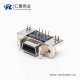 SCSI母座连接器14pin弯式90度插板式带鱼叉脚接PCB板